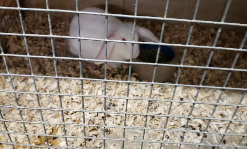 Shy's Feed & General Merchandise Bismarck