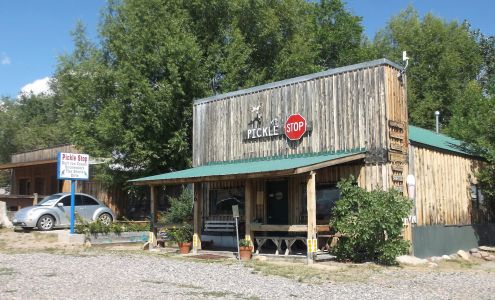 The Pickle Stop Dinosaur