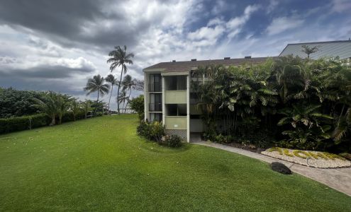 Haleiwa Surf