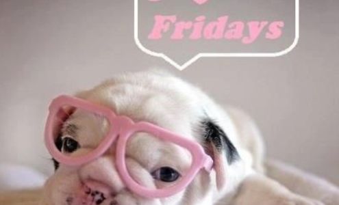 The Spec Shoppe Stanberry