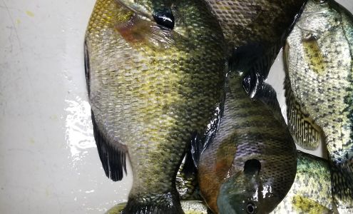 Steve's Copy Shop & More Arlington