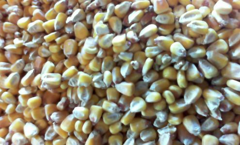 Floodwood Farm & Feed Floodwood