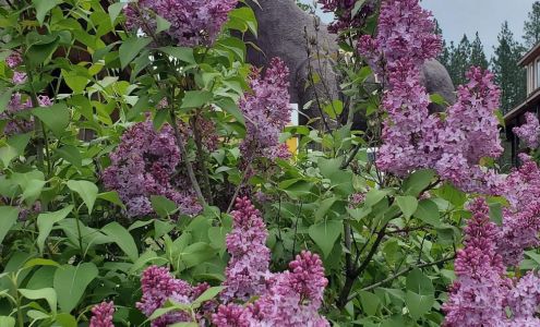 Malo Trading Post Malo