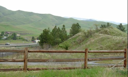 Pineda Post & Poles Inc White Bird