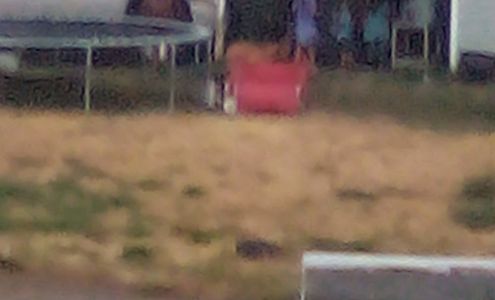 Swap Shop Wolf Point