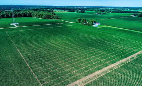 Weaver Popcorn Hybrids, LLC. New Richmond