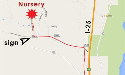 Animas Creek Nursery Caballo