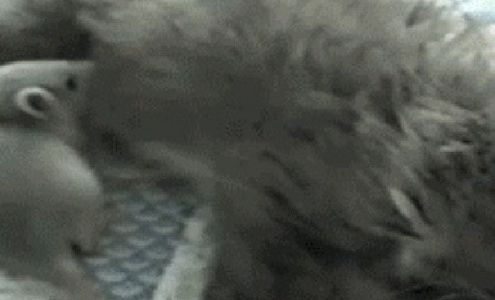 Sanford Country Store Sanford