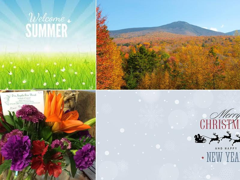 Frayer & Associates Pc