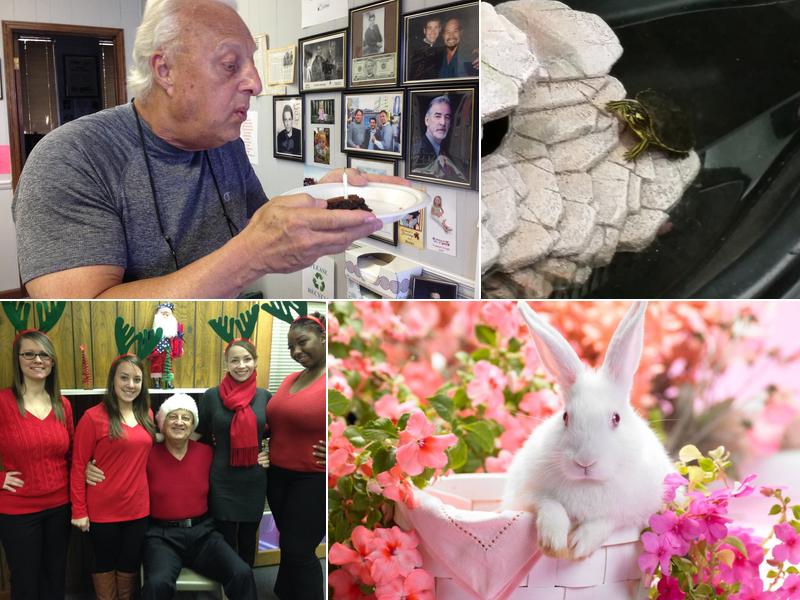 Douglas Tax Services