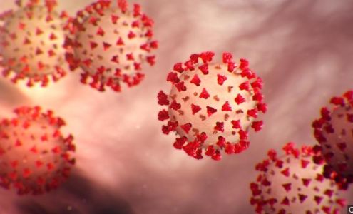 Tew's Tax Service 118 Mechanic St, Martelle Iowa 52305