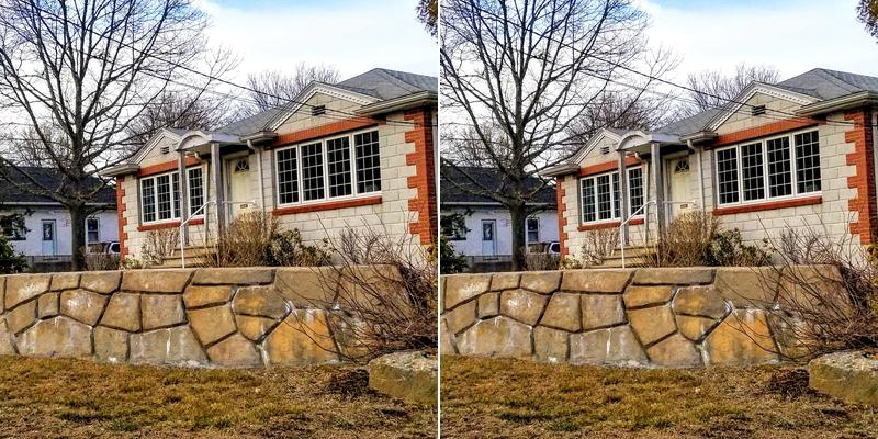 Bellucci William CPA