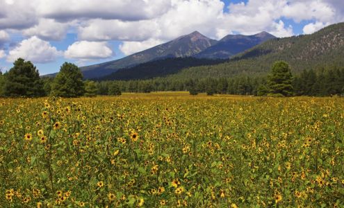 Compass Point Accounting PLLC