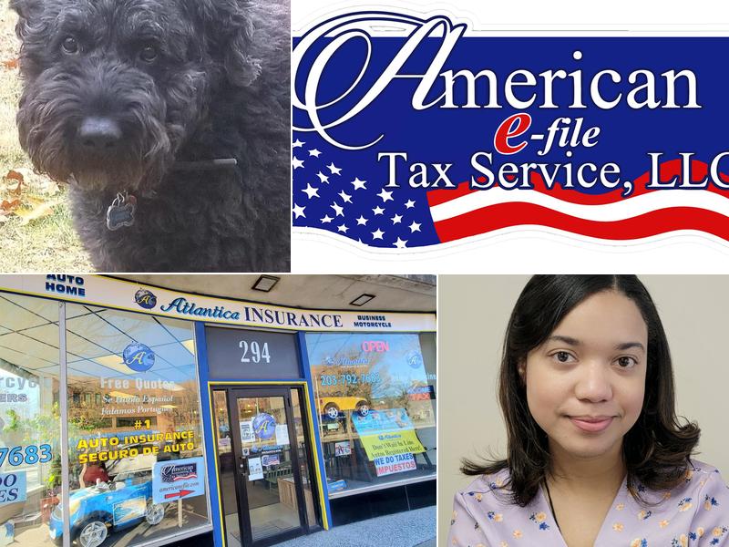 American E-file Tax Service, LLC
