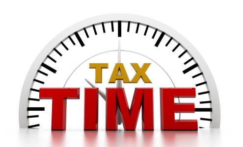 Nieves Melon Income Tax