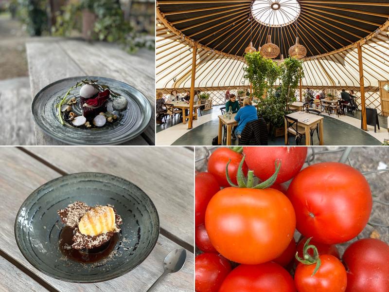 The Yurt at Nicholsons