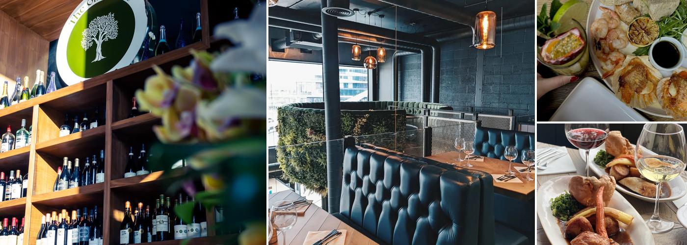 The Olive Tree Ocean Village