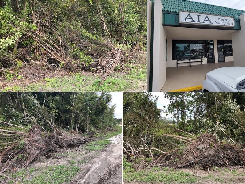 Aia Property Management Services