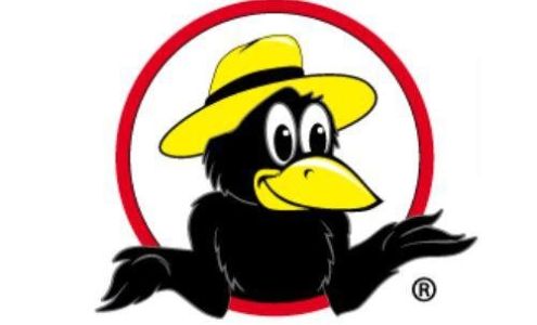 Income Tax / Auto Ins.