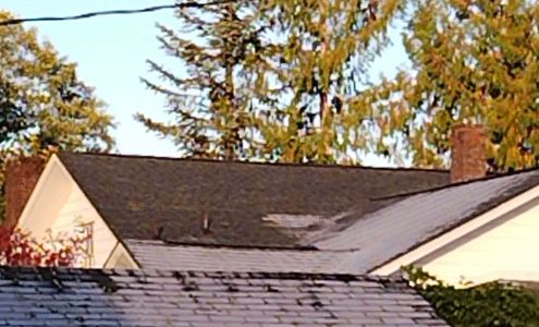 Tax Lady Inc 91207 Westport Ferry Rd, Westport Oregon 97016