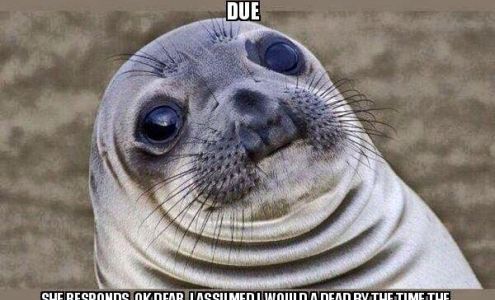 Susan E. Graves, CPA, A.C.