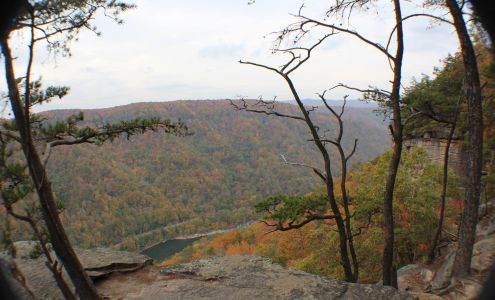 LOU CAPPER?S TAX SERVICE Willow Wood