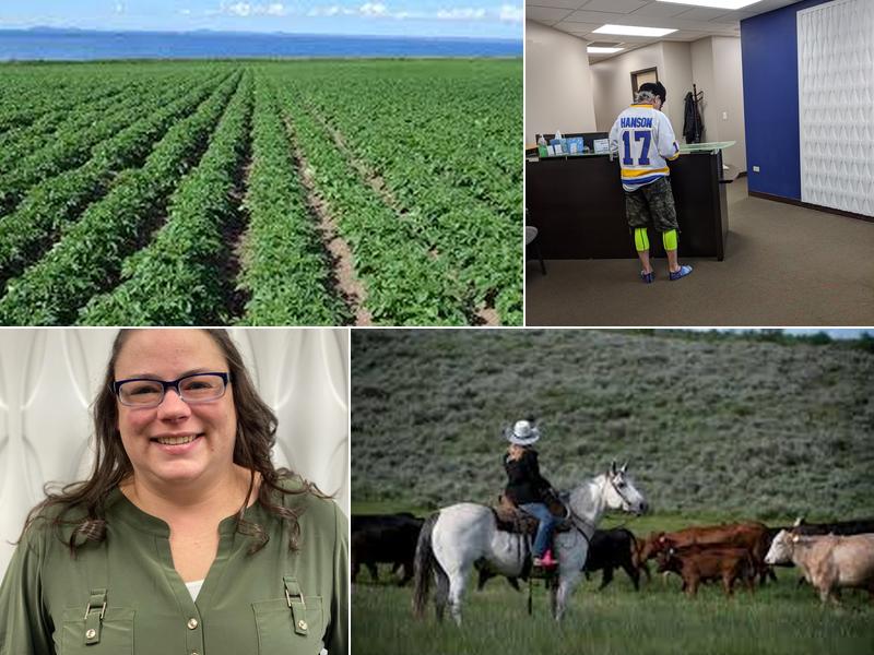 Platform Tax & Consulting