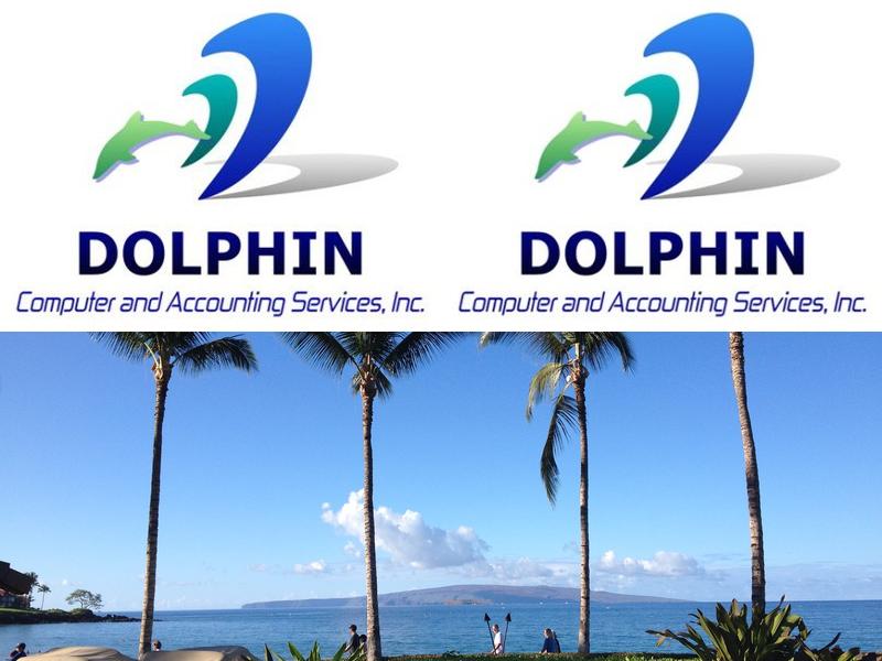 Dolphin Computer & Accounting Services