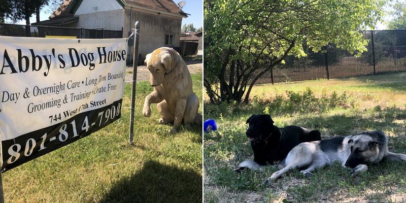 Carver Florek & James