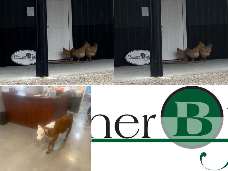 Bittner Tax Service Llc