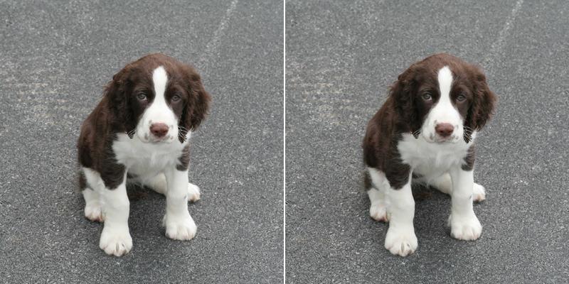 Bartos & Associates, Inc.