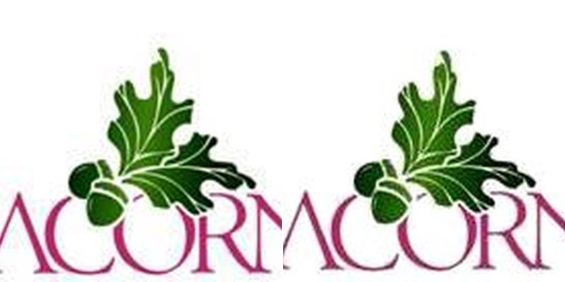 Acorn Tax & Accounting Services, LLC