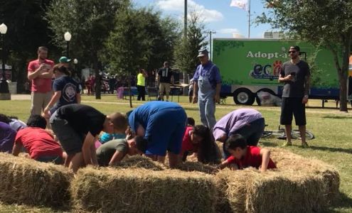 Patricia M. Meguire, P.C.