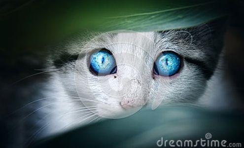 Walker's Bookkeeping & Income Tax Service