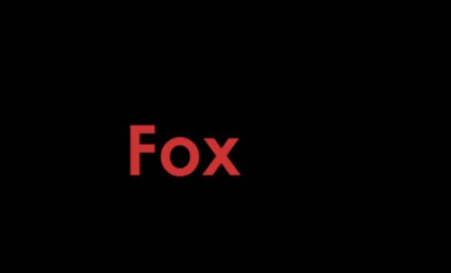 Red Fox Tax Services