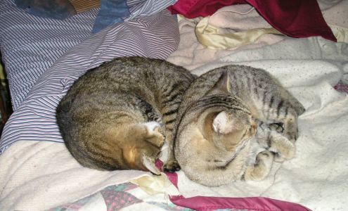 Ward Financial Services Plymouth