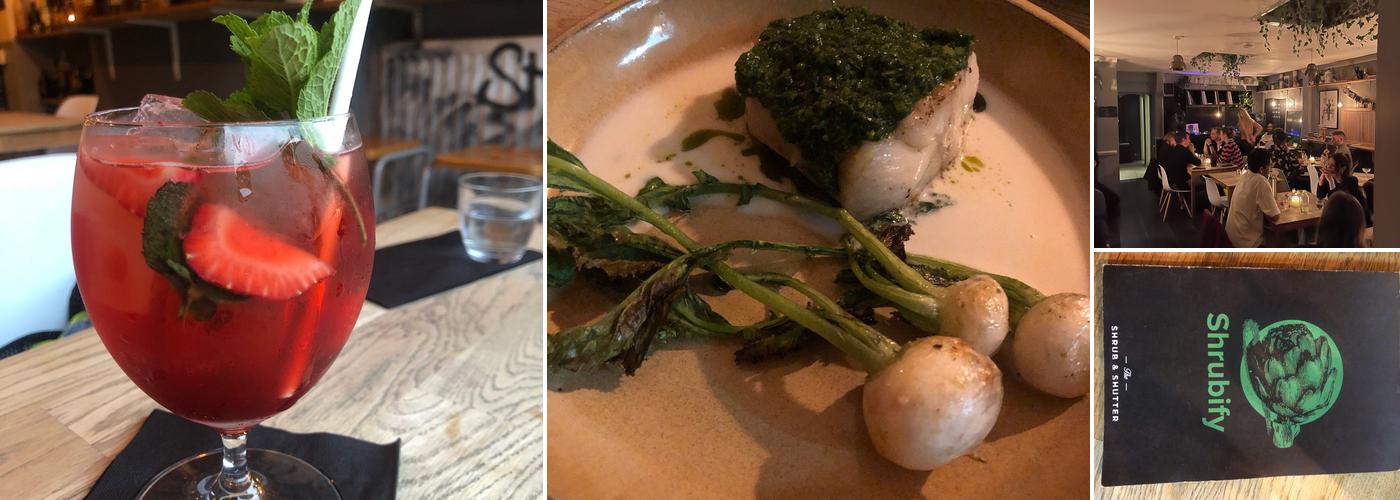 The Shrub and Shutter