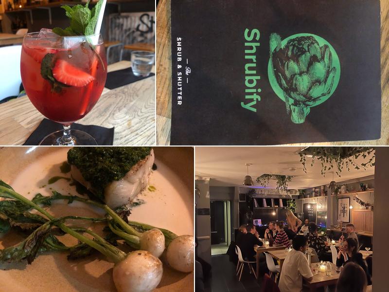 The Shrub and Shutter