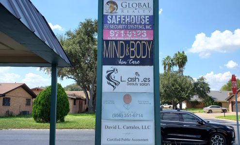 David L. Carrales, Certified Public Accountant