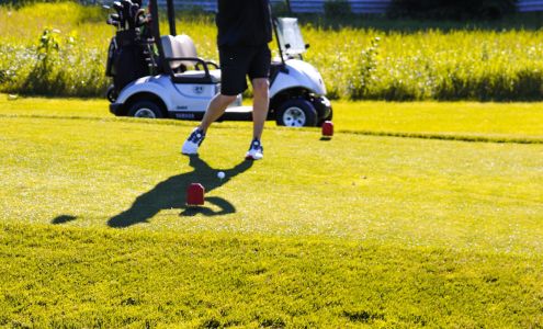 Champion Tax Service, LLC 1663 M-37, Middleville Michigan 49333