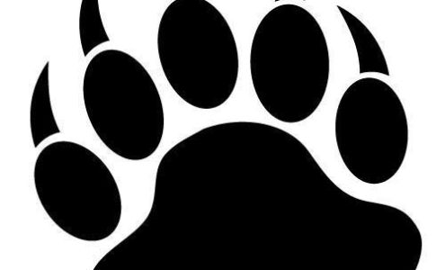 Beartown Bookkeeping and Tax, LLC