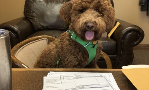 Loucks & Glassley, pllp