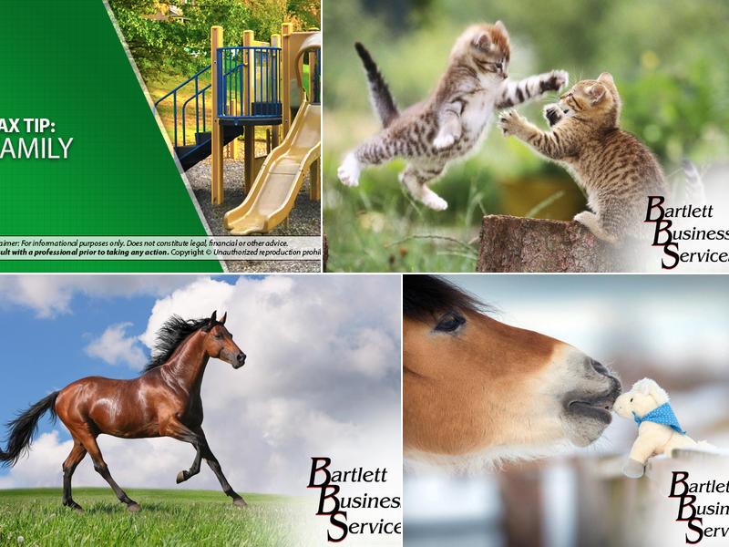 Bartlett Business Services