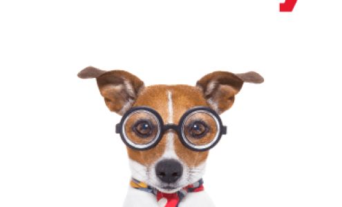 D AND E TAX AND ACCOUNTING INC