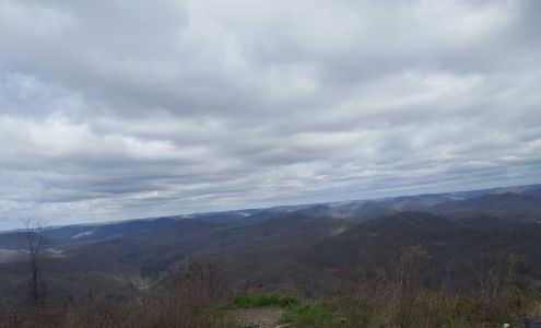 Fred G Roark Family Tax Service Inc Pineville