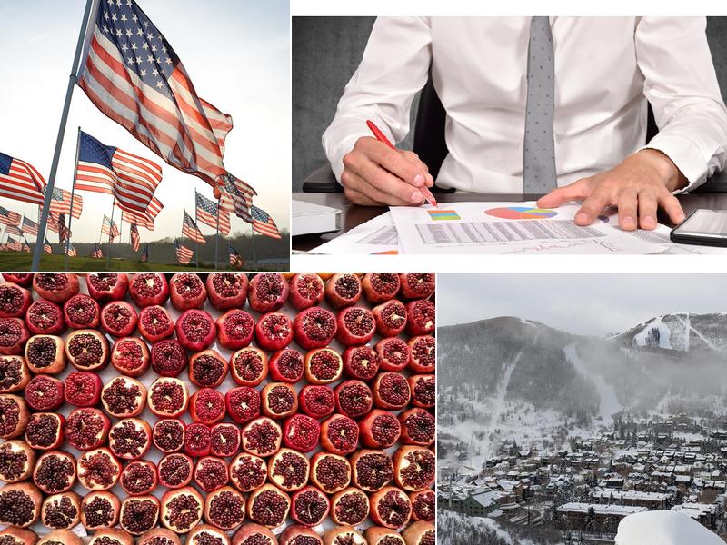 Stephen G Brilliant, M.S., CPA