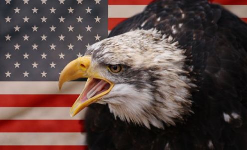 Bharat Trivedi, LLC Ventnor City