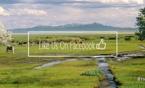 Bullis & Company LLC