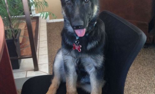 Paper Pusher Bookkeeping