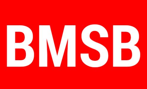 Billy Mike Smith Bookkeeping